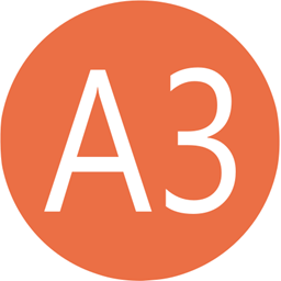 A3